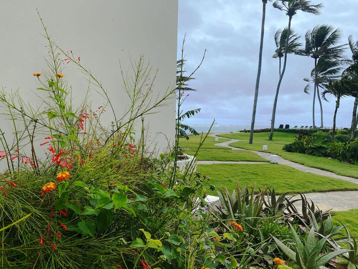 Cabarete Beachfront Condos At Nanny Estate C-5 Εξωτερικό φωτογραφία